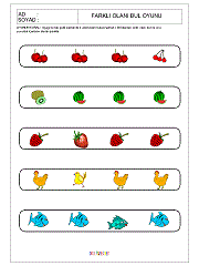 Farklı Olanı Bul Oyunu
