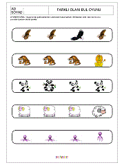 Farklı Olanı Bul Oyunu