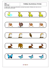 Farklı Olanı Bul Oyunu