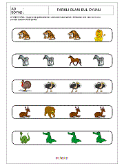 Farklı Olanı Bul Oyunu