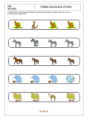 Farklı Olanı Bul Oyunu