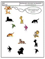 Gölgesi İle Eşleştir