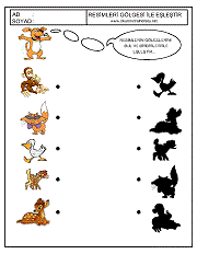 Gölgesi İle Eşleştir