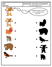 Gölgesi İle Eşleştir