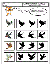 Gölgesi İle Eşleştir