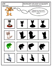 Gölgesi İle Eşleştir