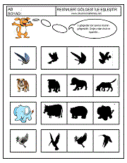 Gölgesi İle Eşleştir