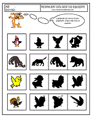 Gölgesi İle Eşleştir