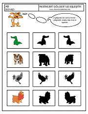 Gölgesi İle Eşleştir