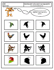 Gölgesi İle Eşleştir