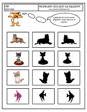 Gölgesi İle Eşleştir