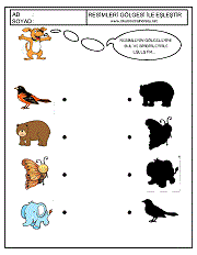 Gölgesi İle Eşleştir