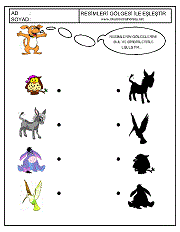 Gölgesi İle Eşleştir