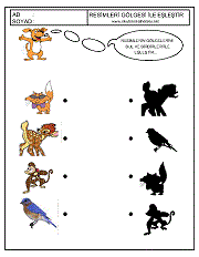 Gölgesi İle Eşleştir