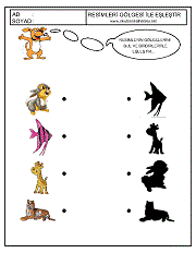 Gölgesi İle Eşleştir