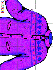 Çocuklar İçin Puzzle Çalışma Sayfaları