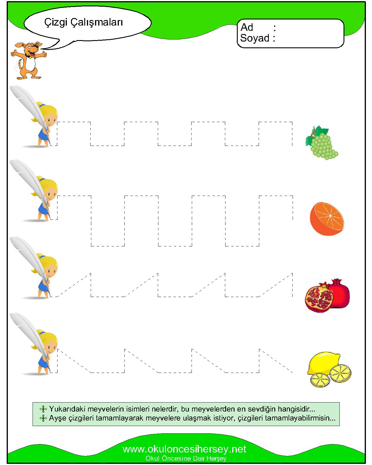 Çizgi Çalışmaları