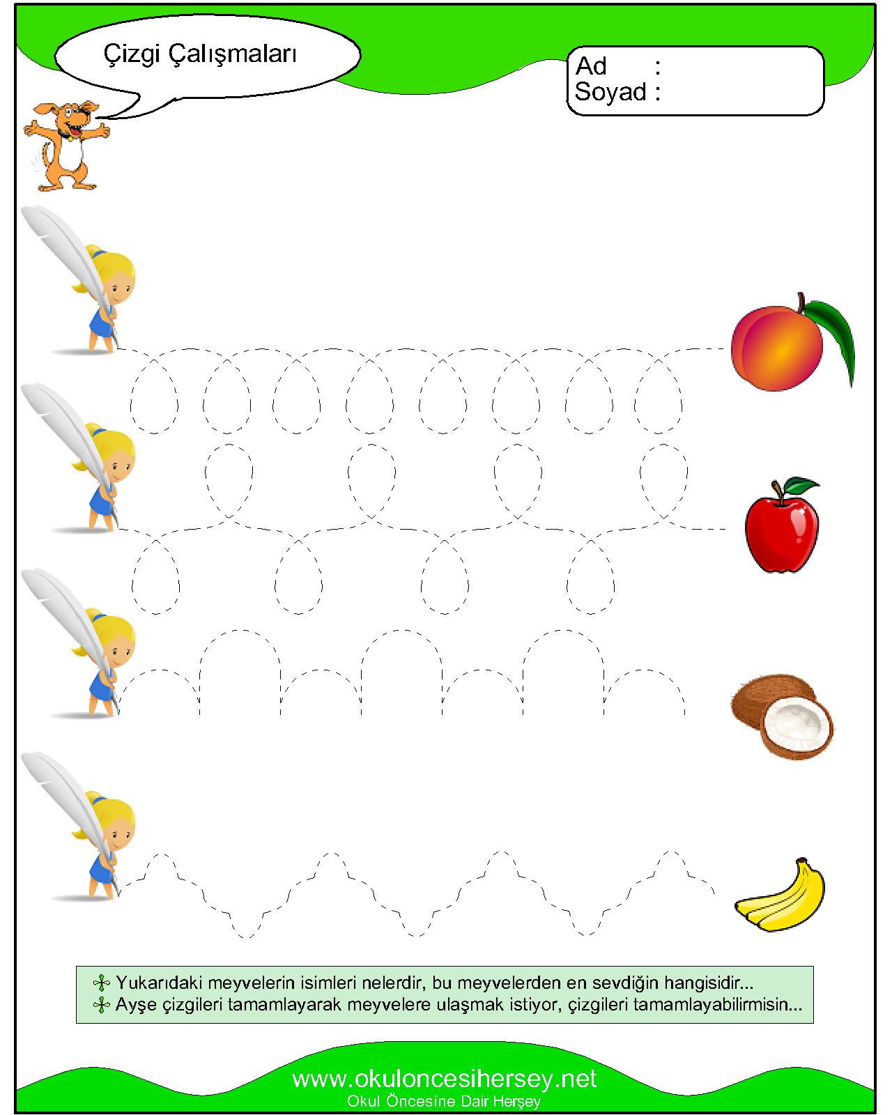 Çizgi Çalışmaları