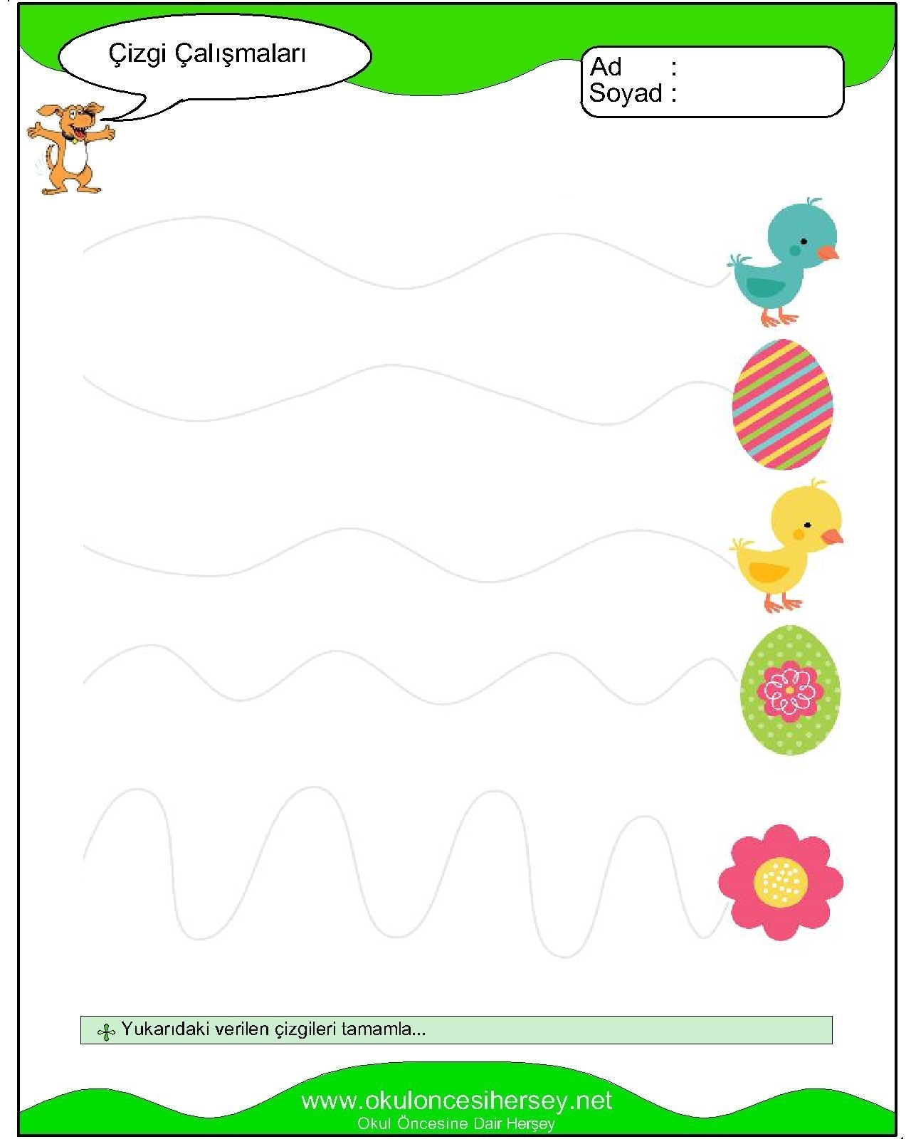 Çizgi Çalışmaları