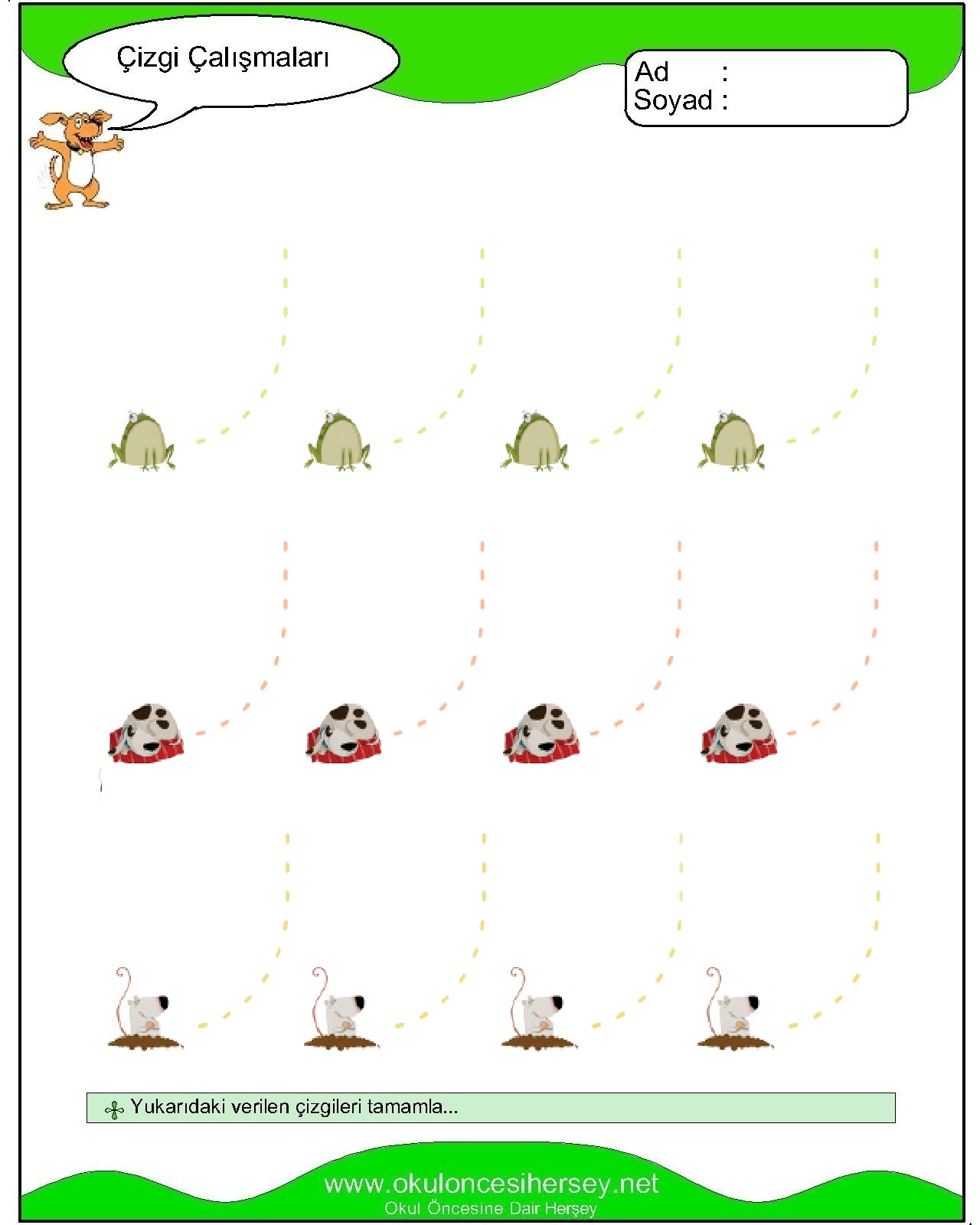 Çizgi Çalışmaları