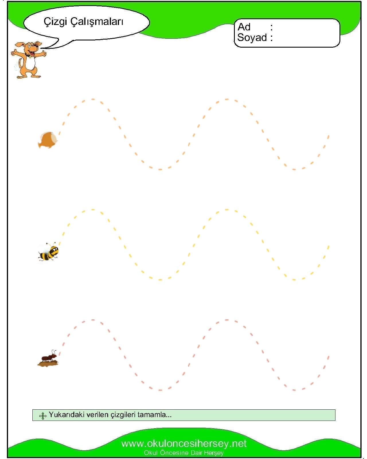 Çizgi Çalışmaları