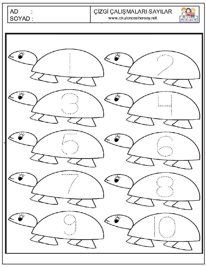 Çizgi Çalışmaları