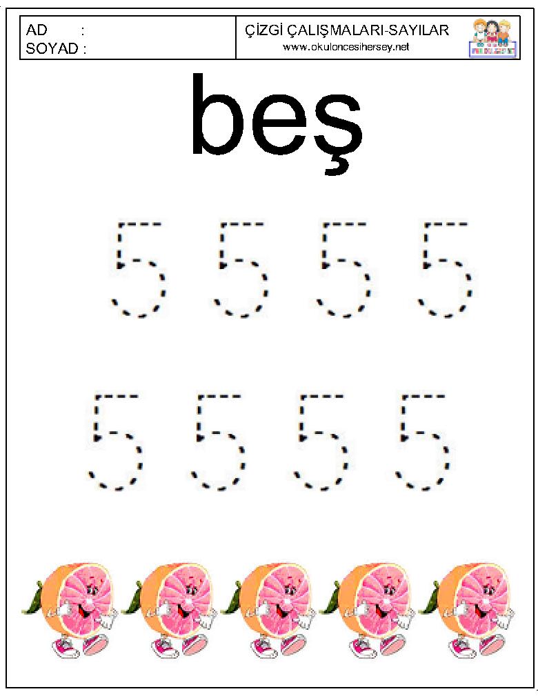 Çizgi Çalışmaları