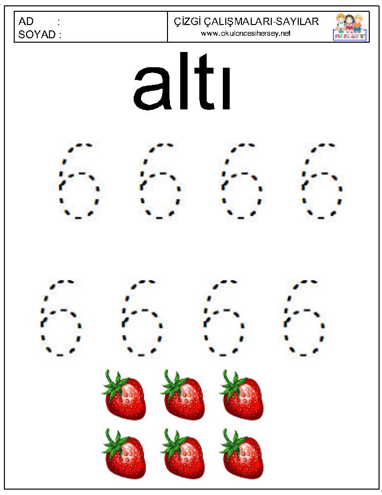 Çizgi Çalışmaları