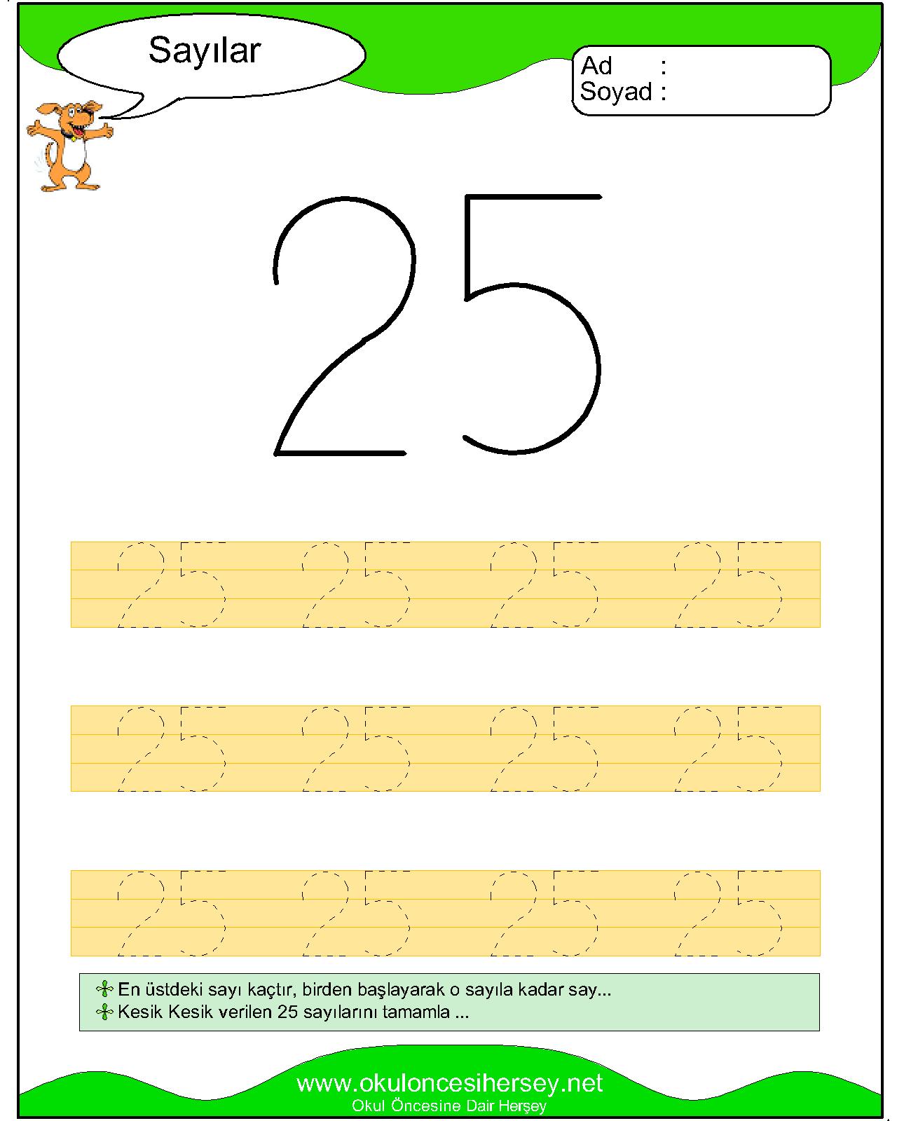 Çizgi Çalışmaları