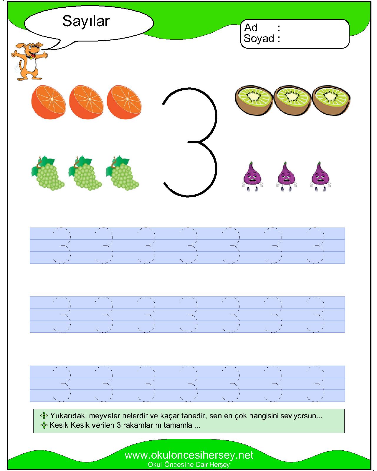 Çizgi Çalışmaları