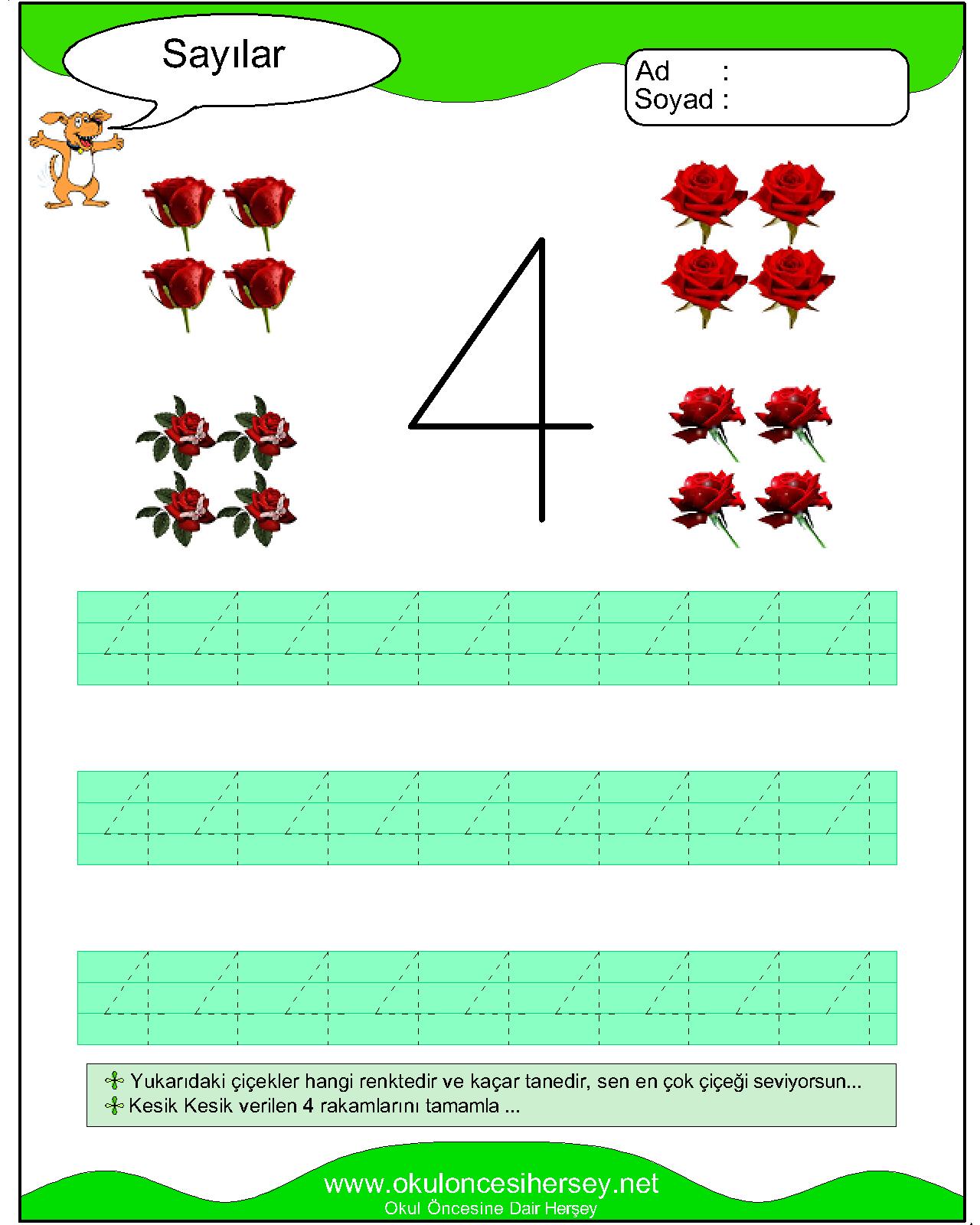 Çizgi Çalışmaları