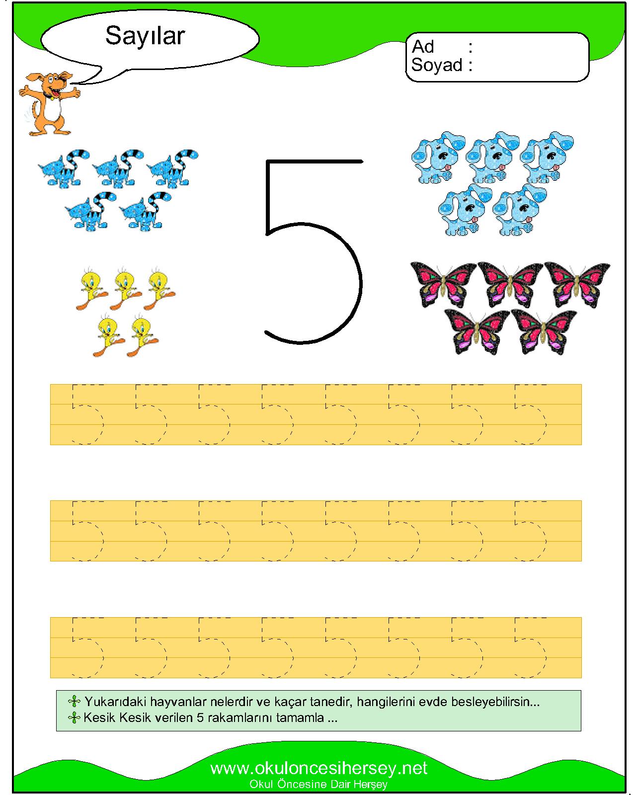 Çizgi Çalışmaları