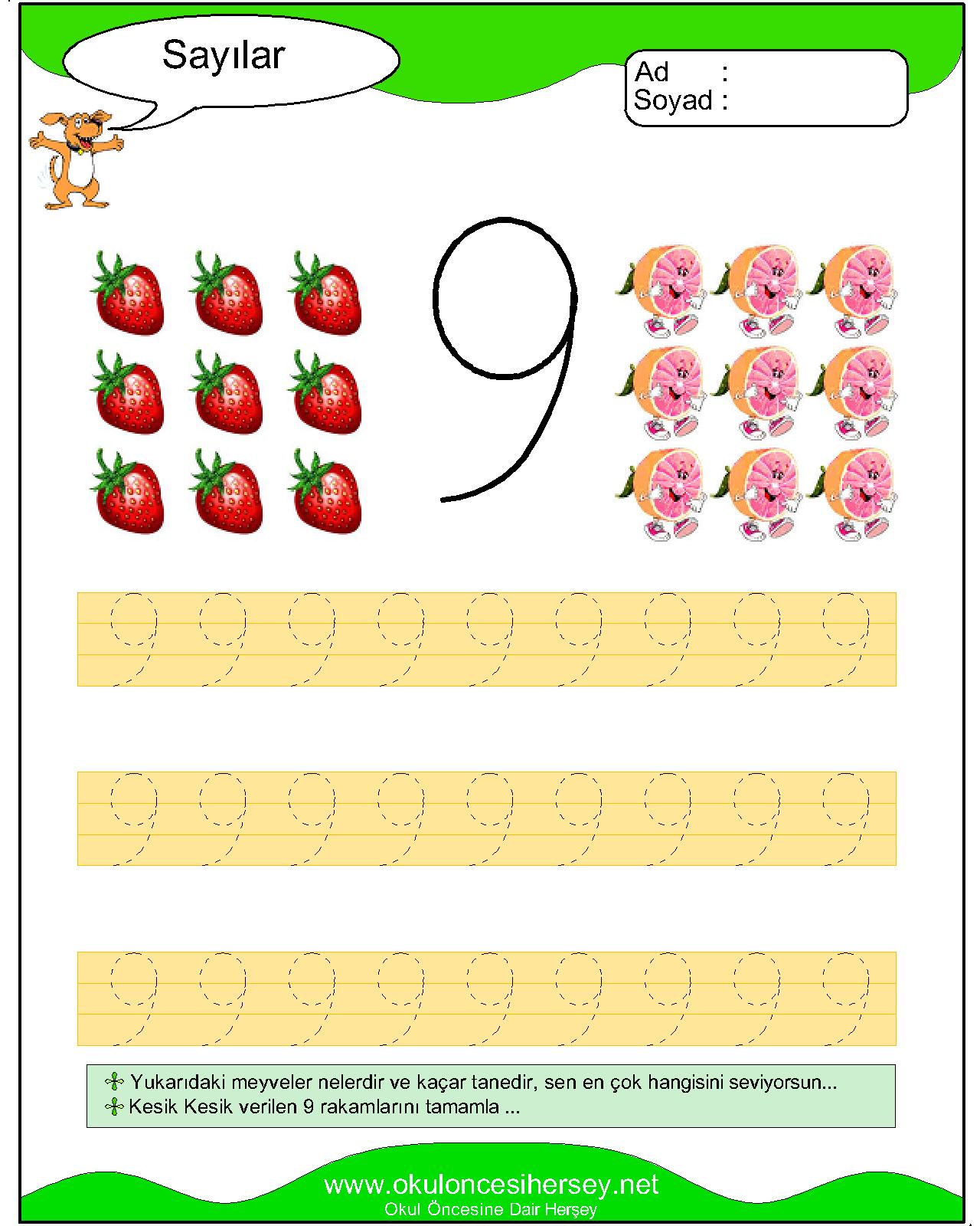 Çizgi Çalışmaları