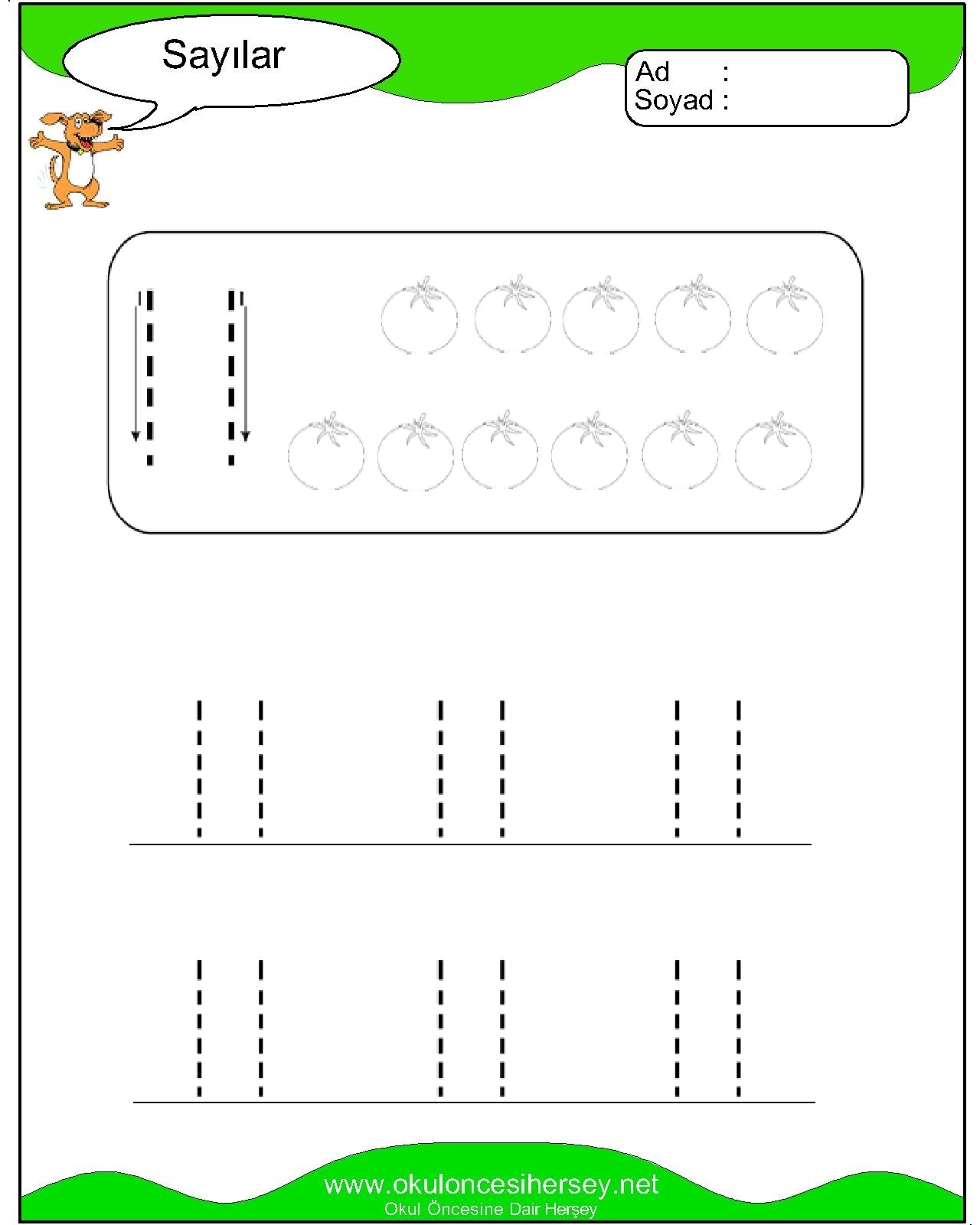 Çizgi Çalışmaları