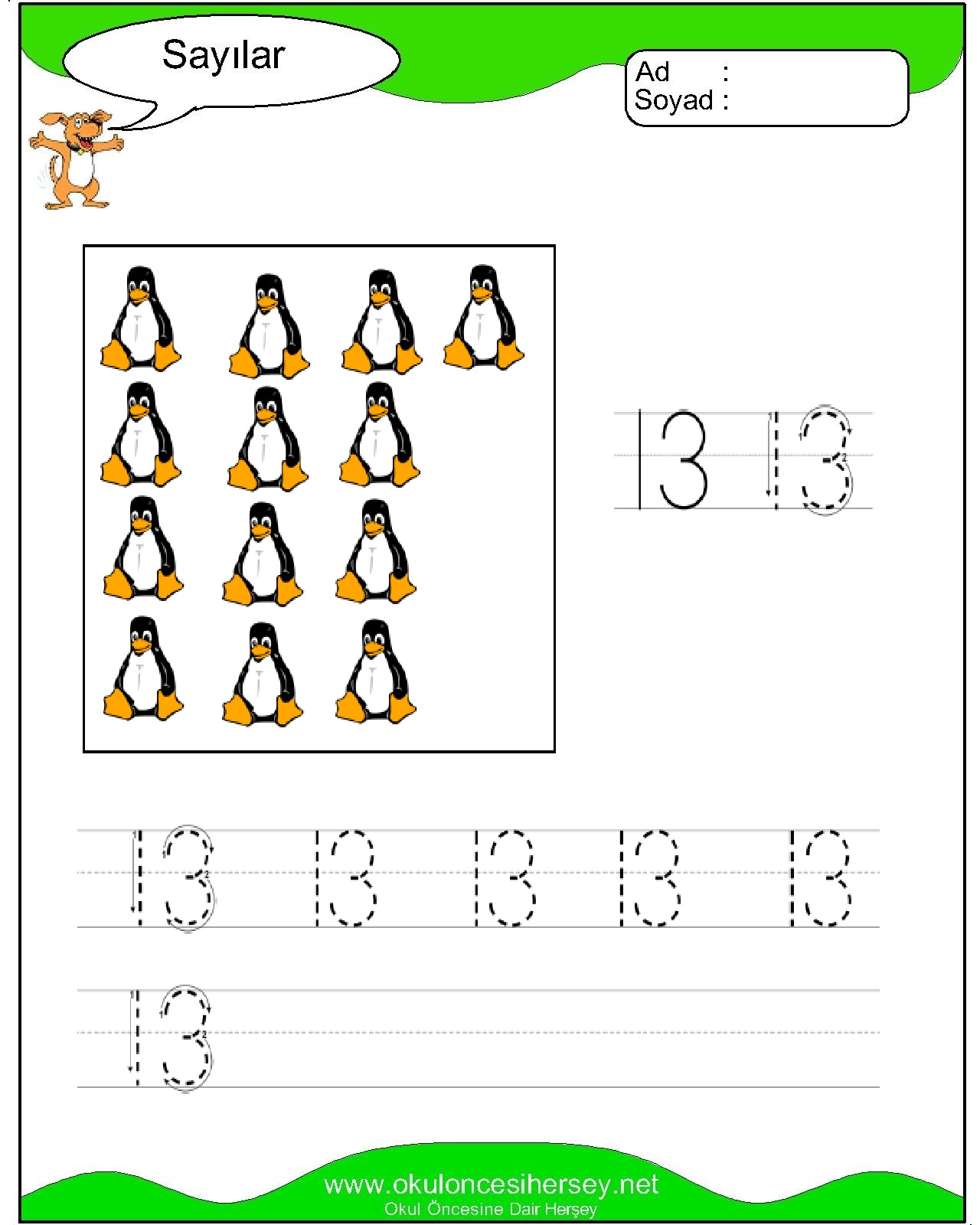 Çizgi Çalışmaları