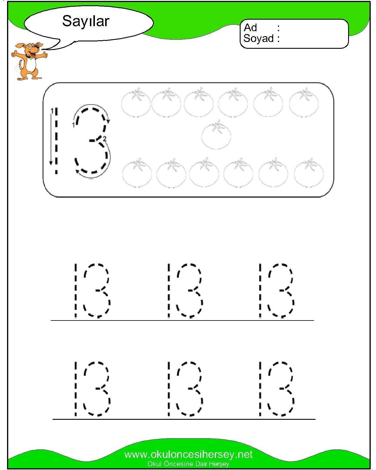 Çizgi Çalışmaları