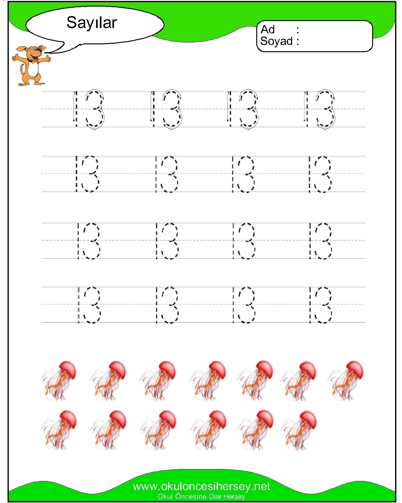 Çizgi Çalışmaları
