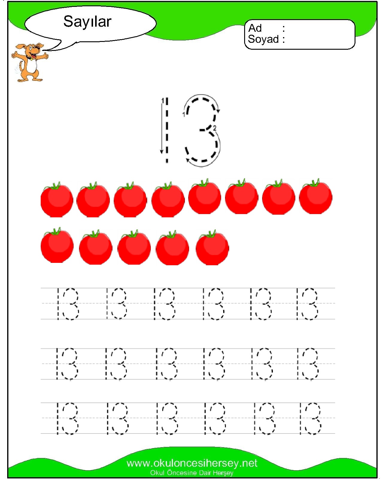 Çizgi Çalışmaları