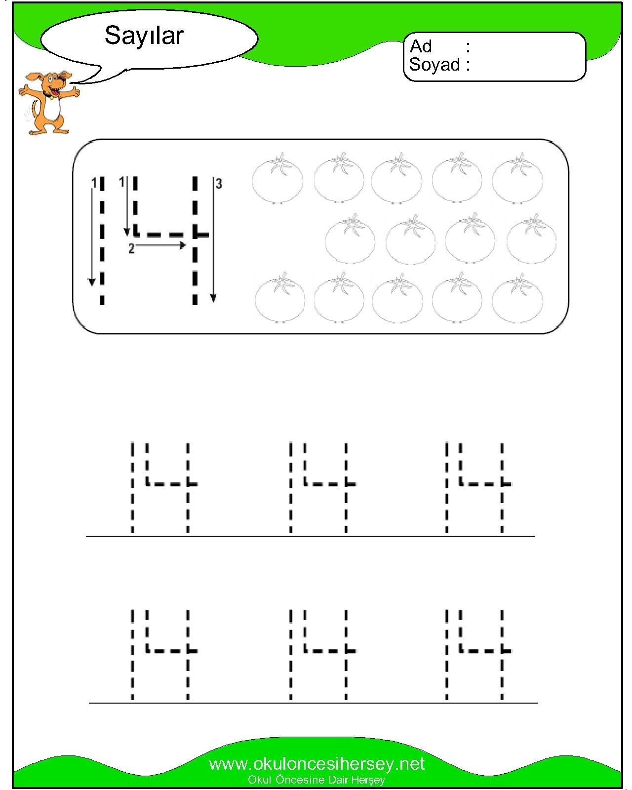 Çizgi Çalışmaları
