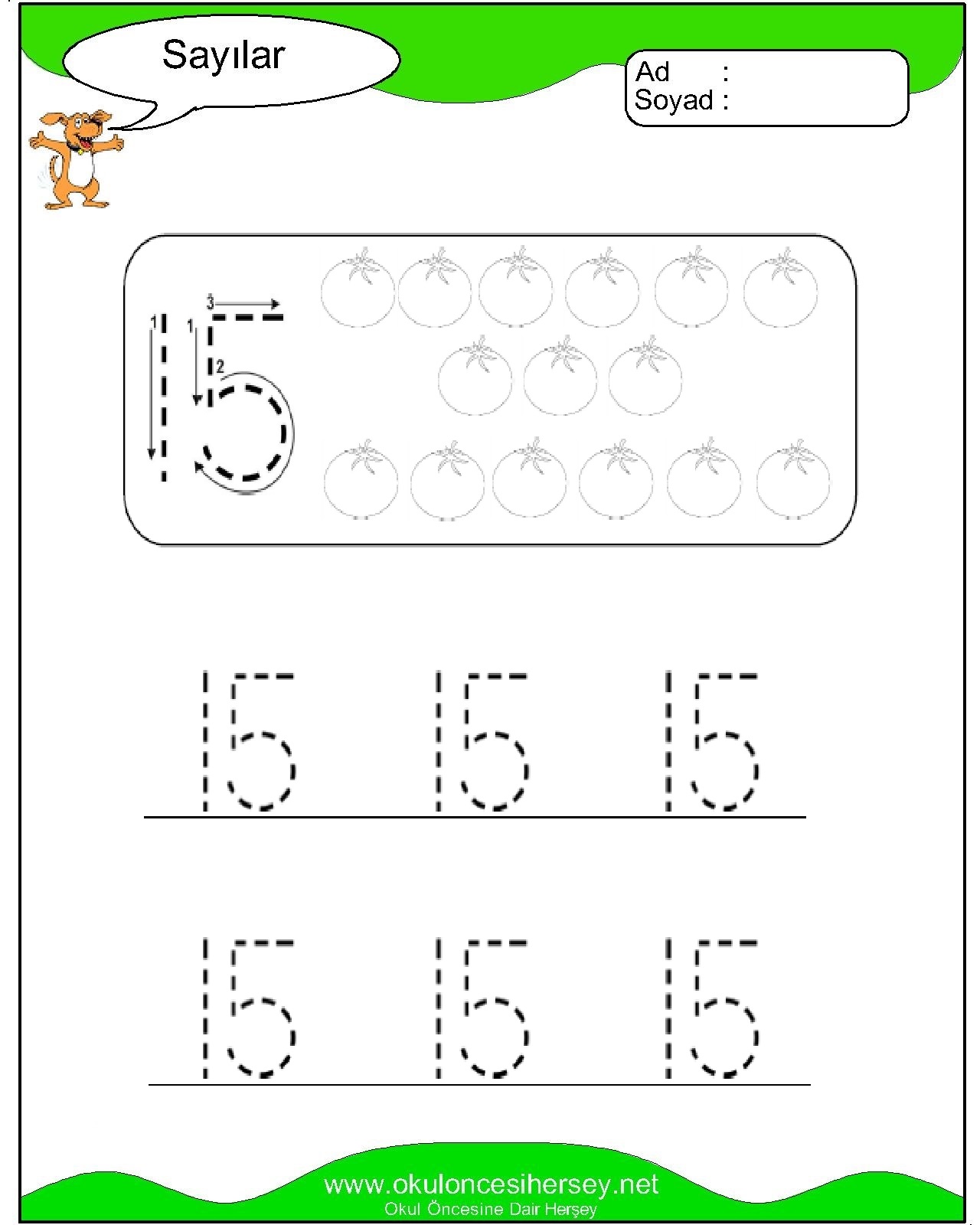Çizgi Çalışmaları