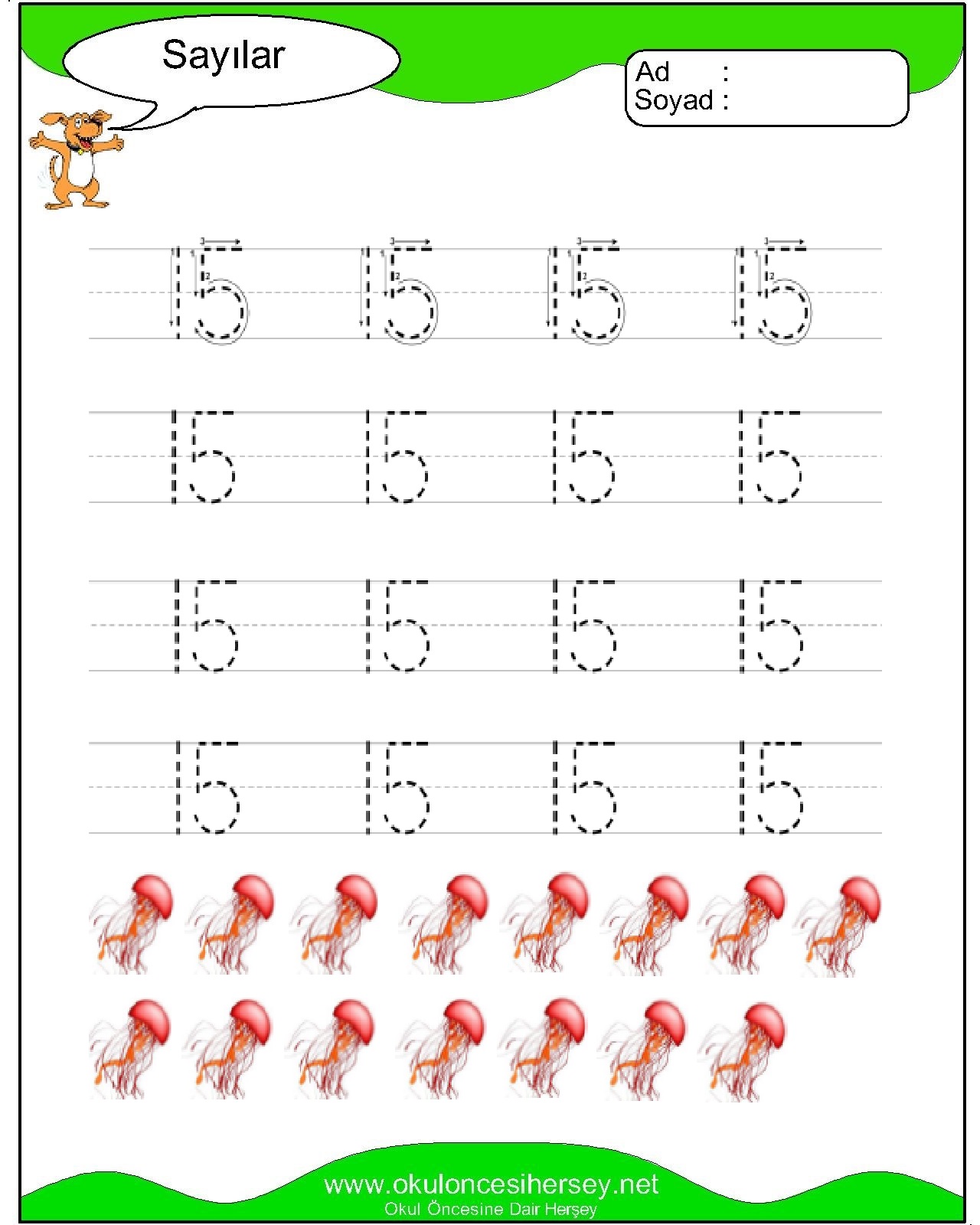 Çizgi Çalışmaları