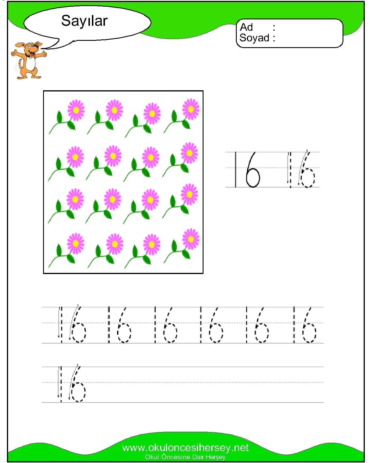 Çizgi Çalışmaları