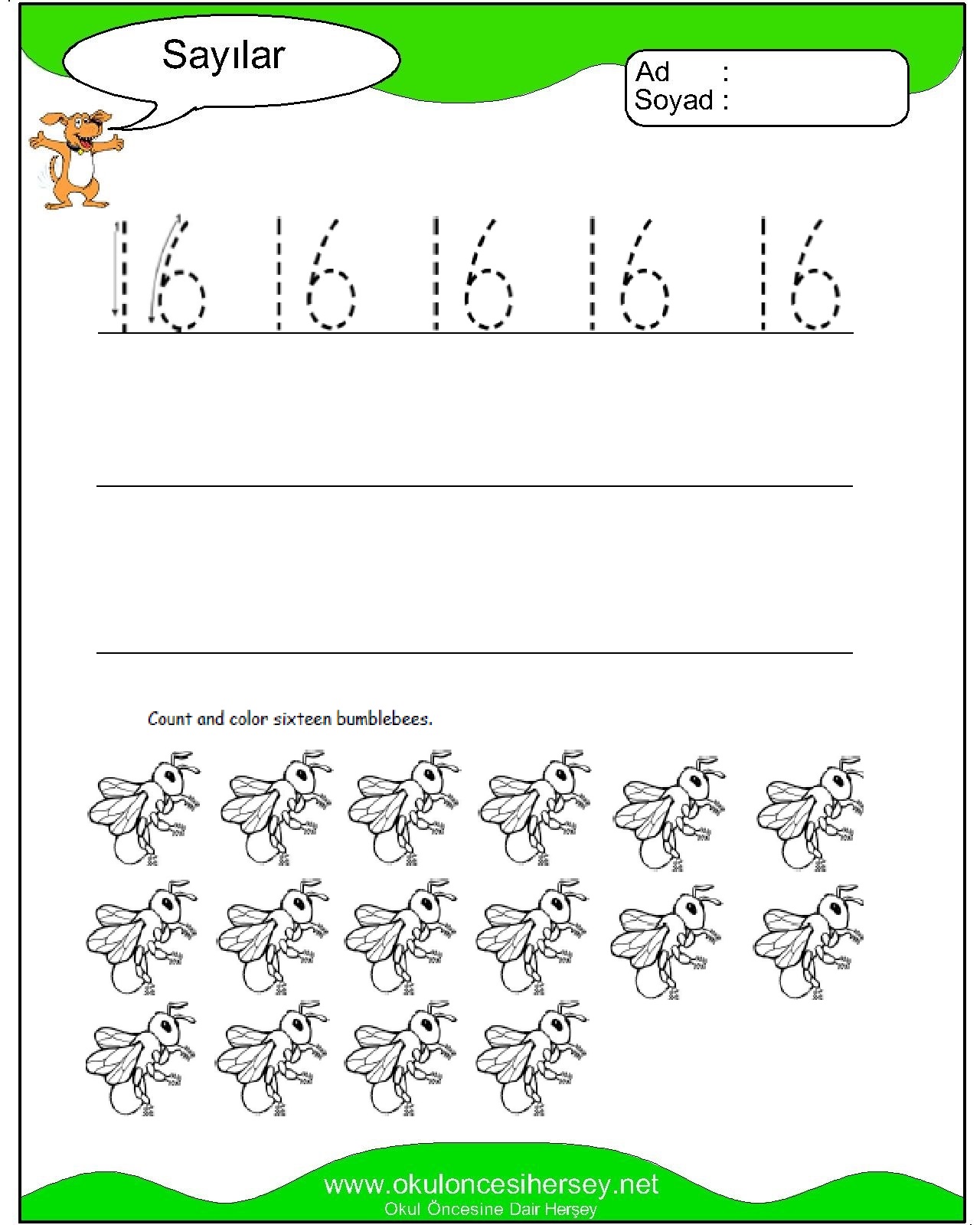 Çizgi Çalışmaları