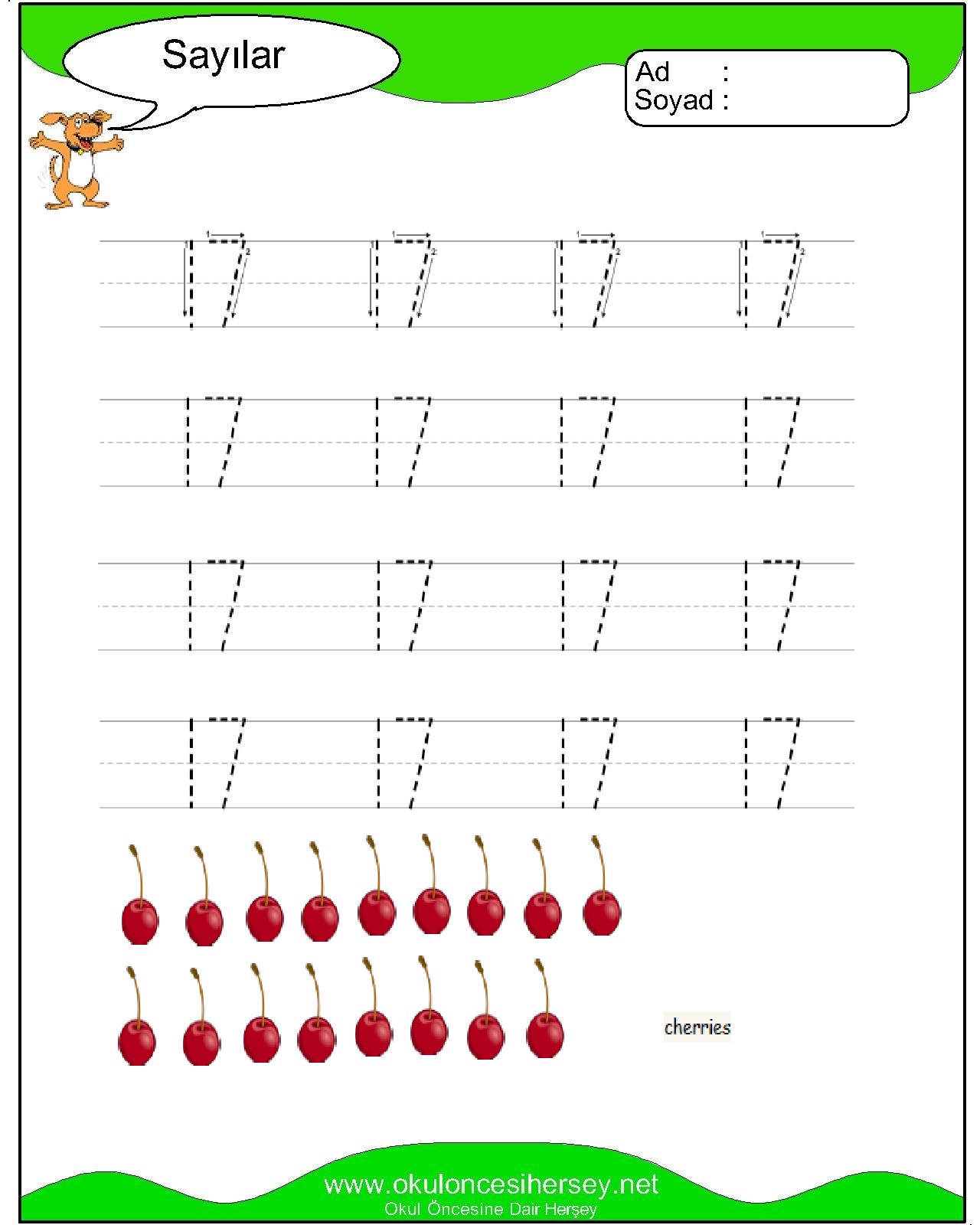 Çizgi Çalışmaları