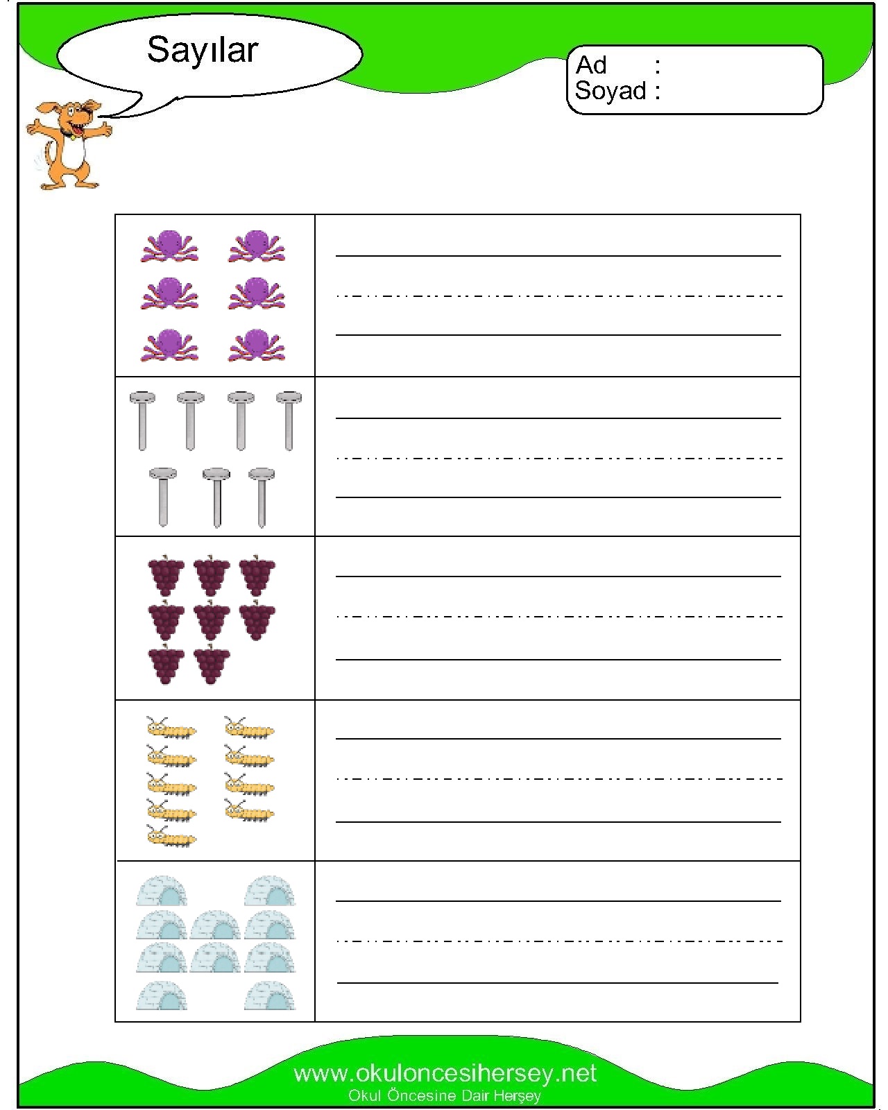 Çizgi Çalışmaları