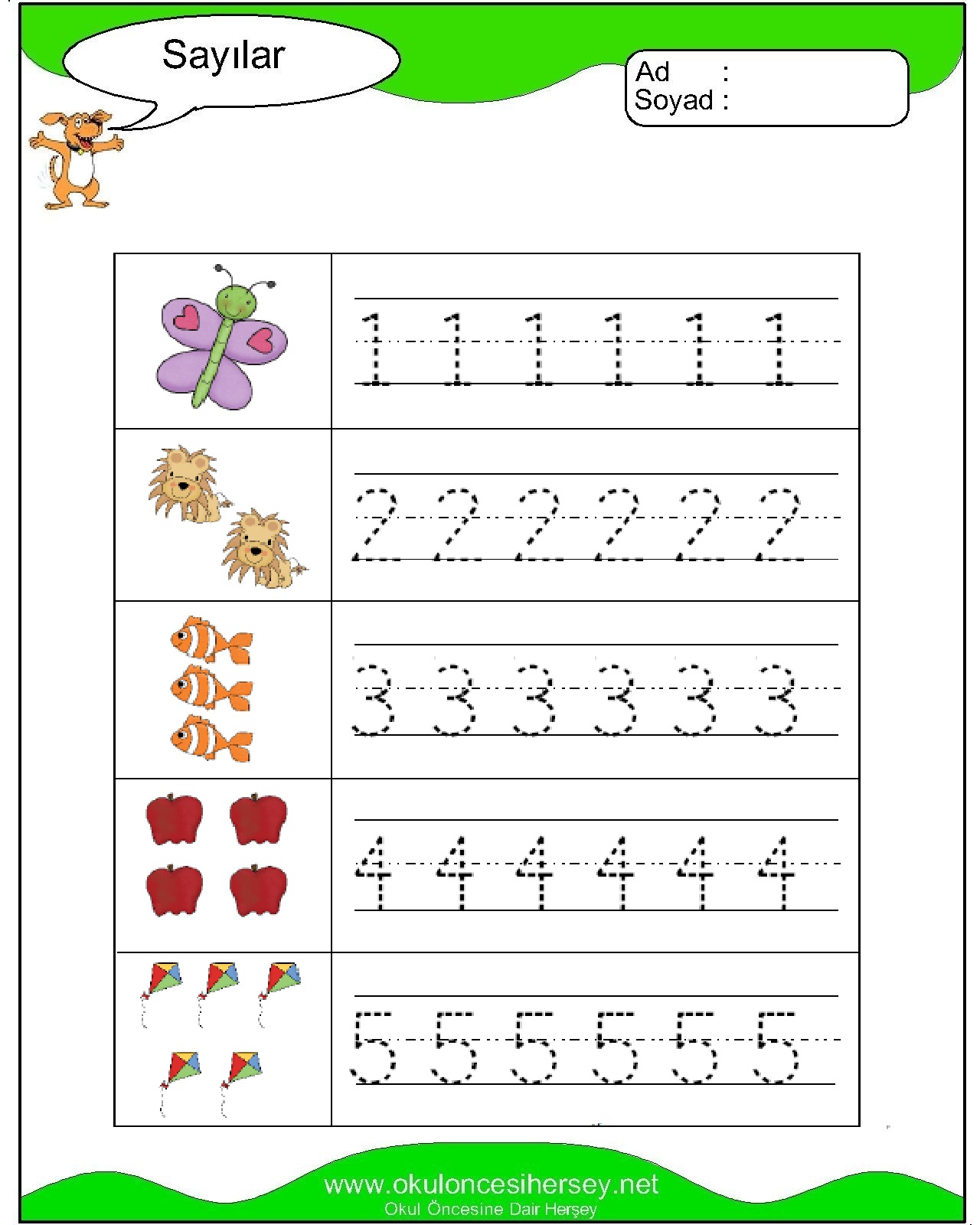 Çizgi Çalışmaları