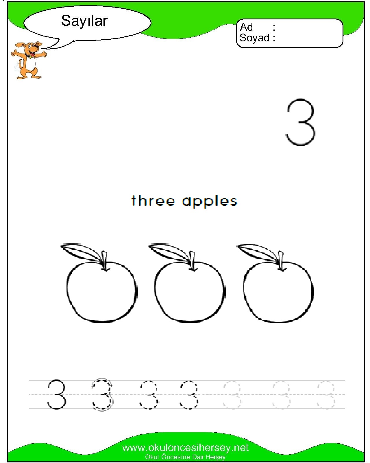 Çizgi Çalışmaları