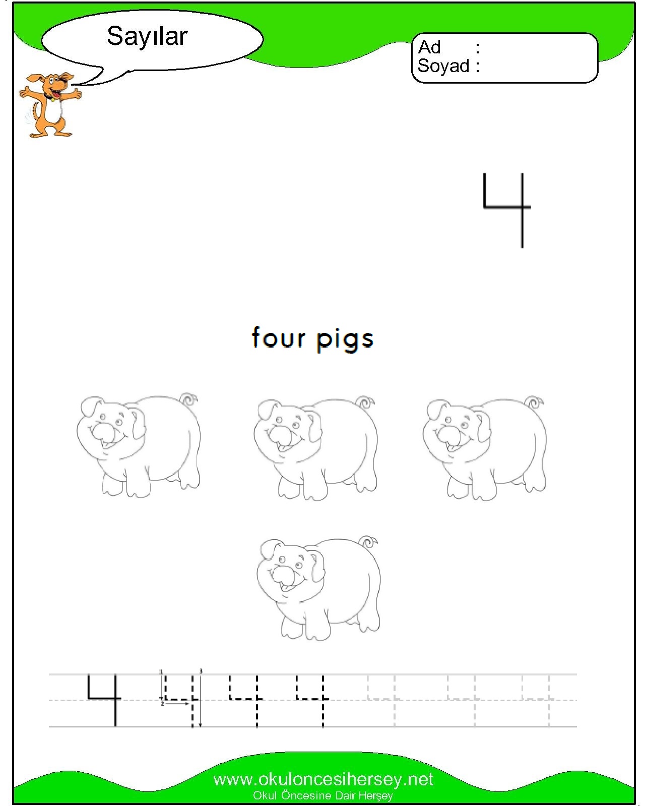 Çizgi Çalışmaları