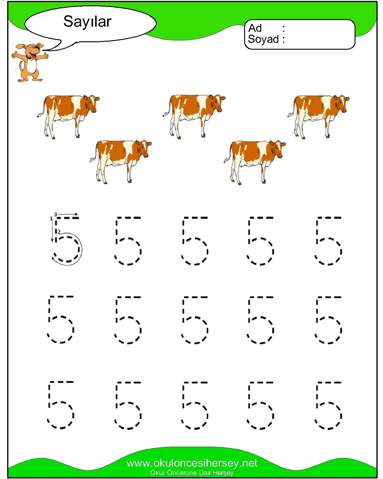 Çizgi Çalışmaları