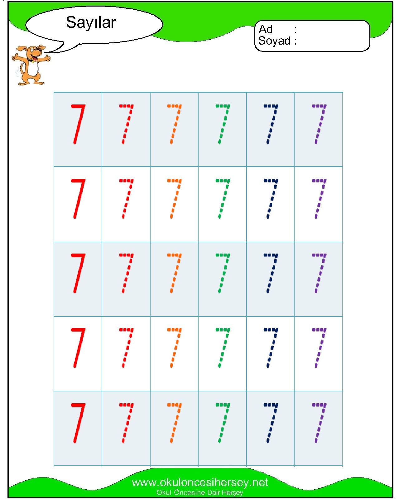 Çizgi Çalışmaları